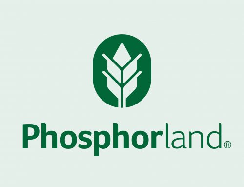NOS, Casos de Sucesso – Phosphorland