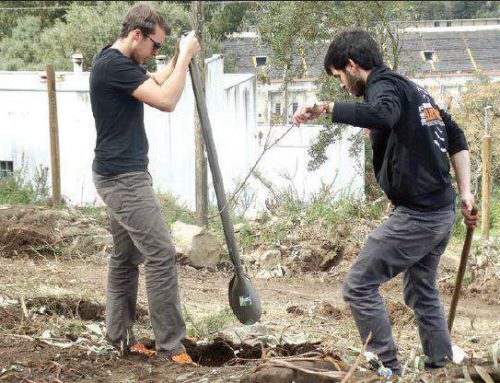 Mais 1500 árvores plantadas na iniciativa “Oxigenar Braga”