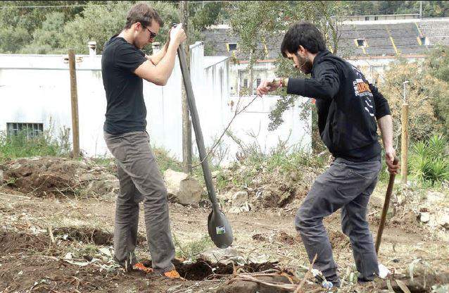 Oxigenar Braga software-gestao-agricola