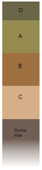 horizontes do solo