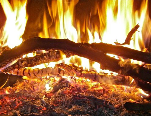 Queimadas – cuidados a ter