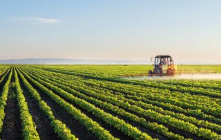 A industrialização da Agricultura