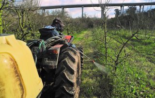 Herbicida na agricultura pode provocar cancro - A Nova Agricultura