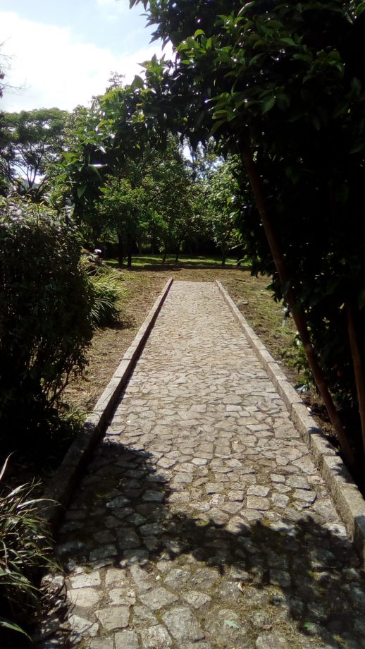 phosphorland-servicos-jardinagem-limpeza-jardim-depois phosphorland servicos jardinagem limpeza depois
