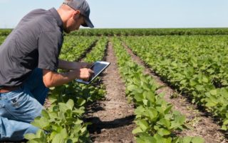 Ideias para investir na Agricultura