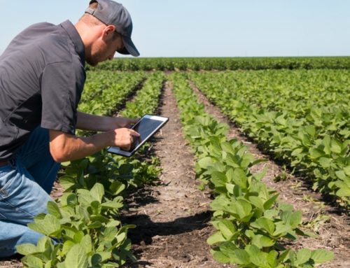 Ideias para investir na Agricultura